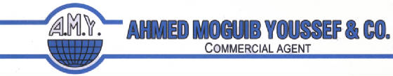 amy_logo_english.jpg
