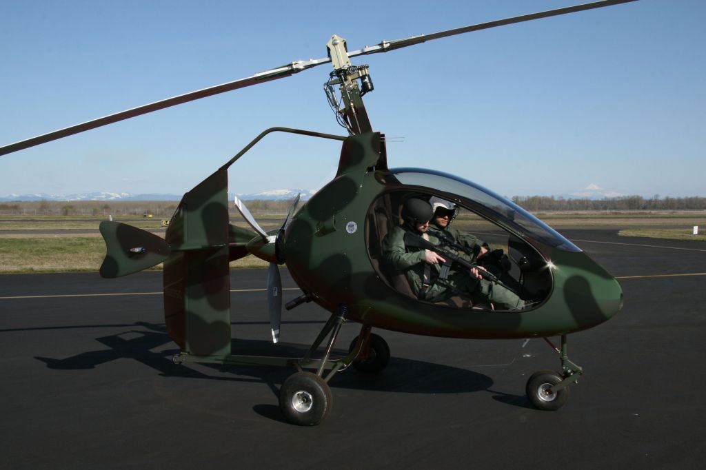 camosc2.jpg